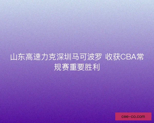山东高速力克深圳马可波罗 收获CBA常规赛重要胜利